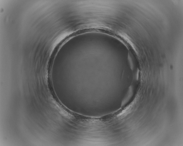 X0000089711024200706211338