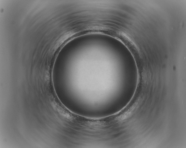 X0000089711025200706211338