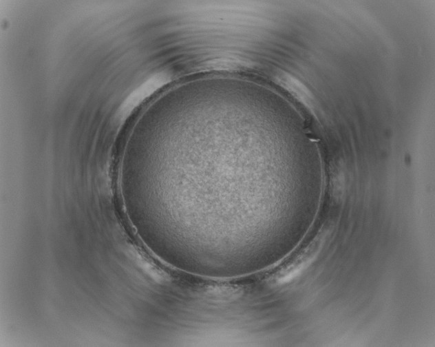 X0000089711026200706211338