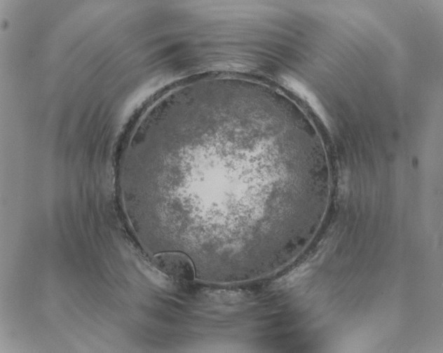 X0000089711027200706211338