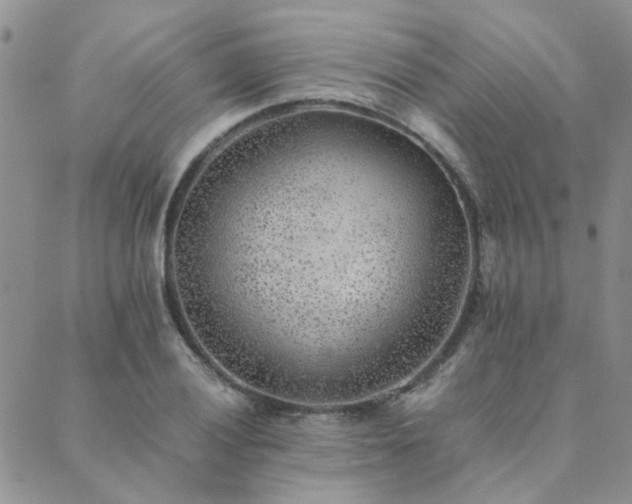 X0000089711028200706211338