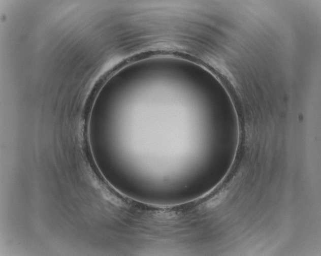 X0000089711029200706211338