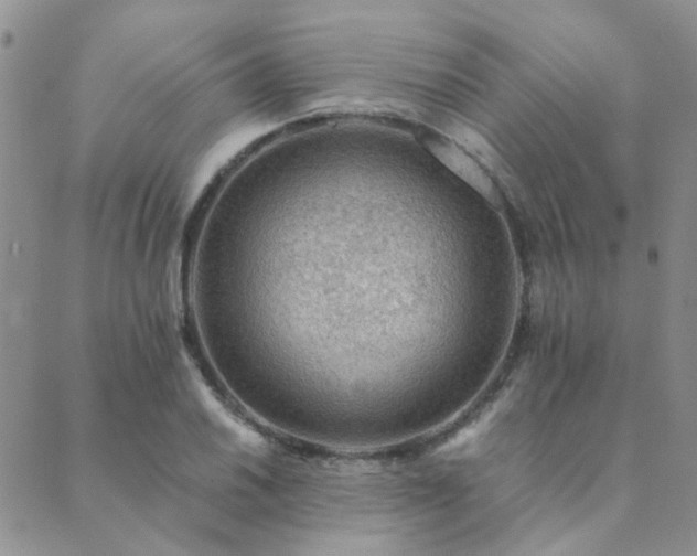 X0000089711030200706211338