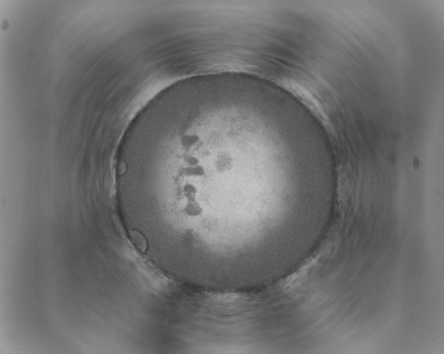 X0000089711031200706211338