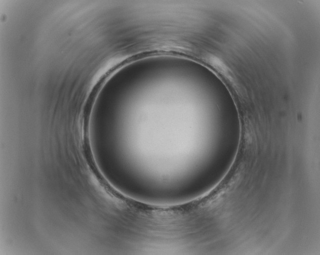 X0000089711032200706211338