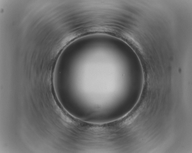 X0000089711033200706211338