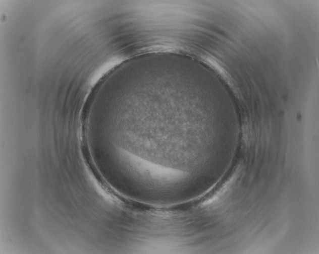 X0000089711034200706211338