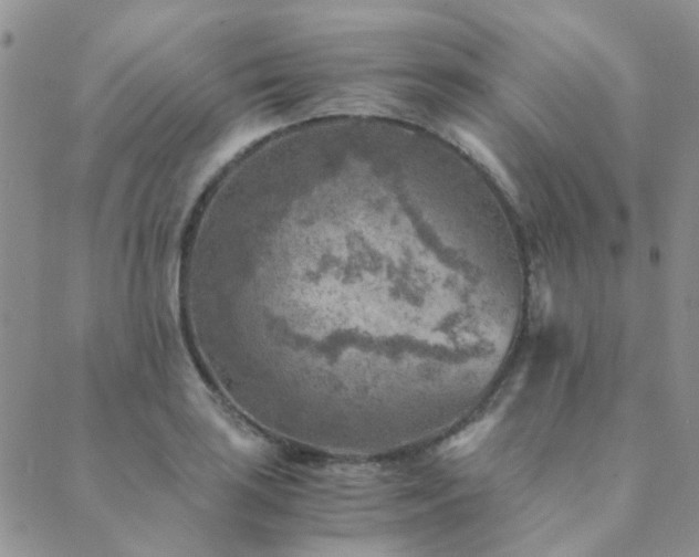 X0000089711035200706211338