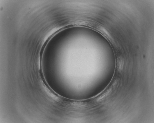 X0000089711036200706211338