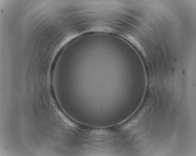 X0000089711037200706211338