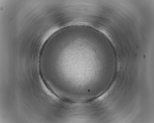 X0000089711038200706211338