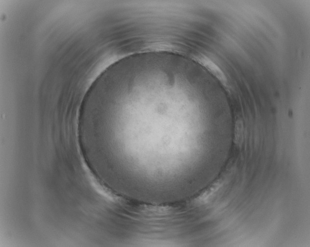 X0000089711039200706211338