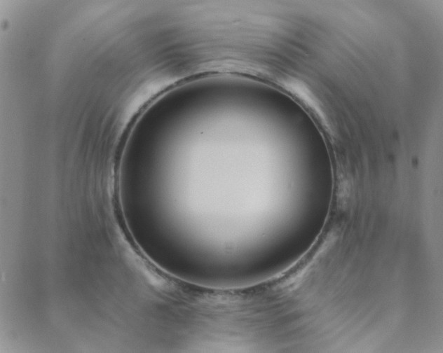 X0000089711040200706211338