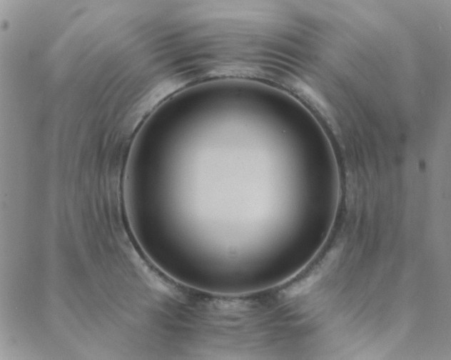 X0000089711041200706211338