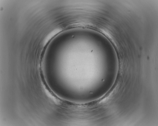 X0000089711042200706211338