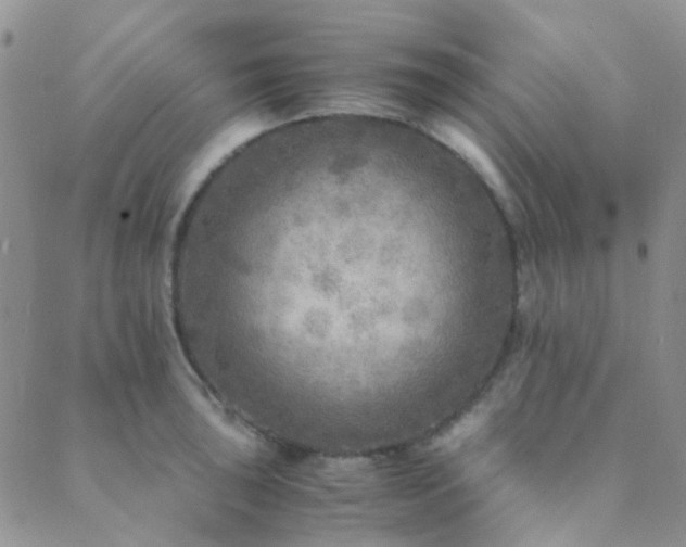 X0000089711043200706211338