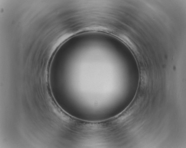 X0000089711044200706211338