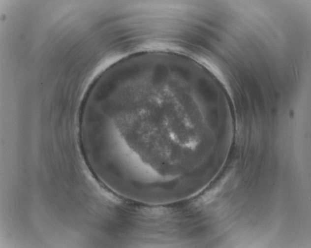 X0000089711045200706211338