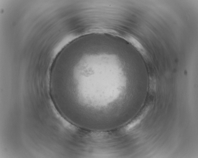 X0000089711046200706211338