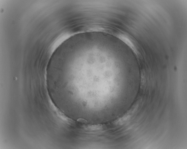 X0000089711047200706211338