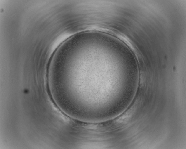 X0000089711048200706211338