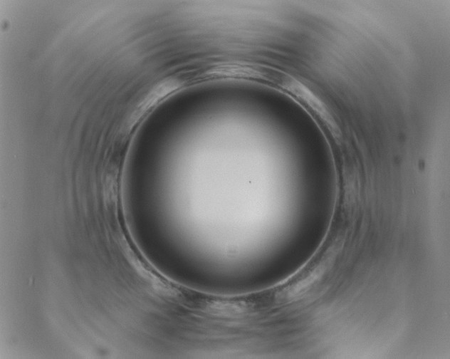 X0000089711049200706211338