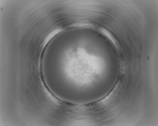 X0000089711050200706211338