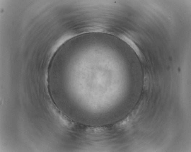 X0000089711051200706211338