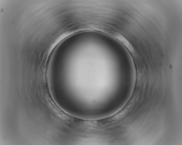 X0000089711052200706211338