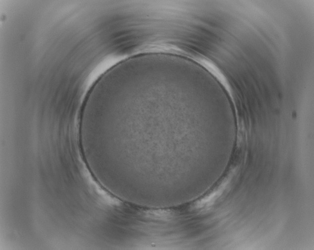 X0000089711053200706211338