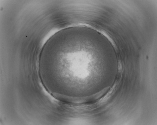 X0000089711054200706211338