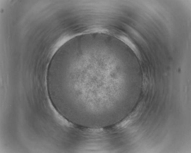 X0000089711055200706211338