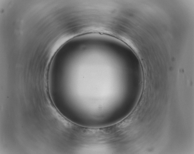 X0000089711056200706211338