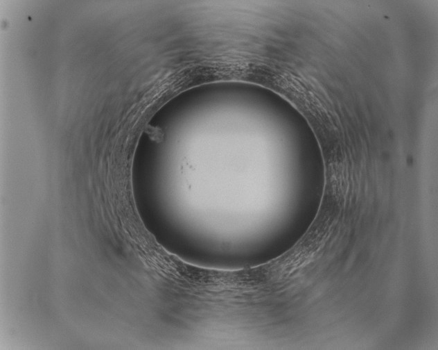 X0000089711057200706211338