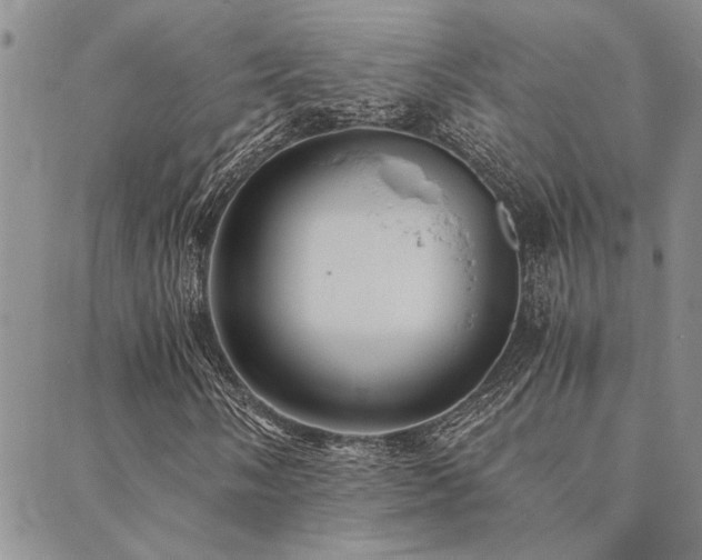 X0000089711058200706211338