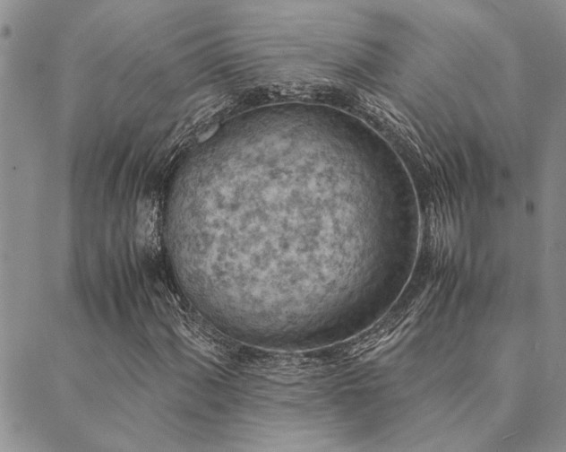 X0000089711060200706211337