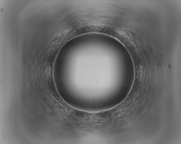 X0000089711061200706211337