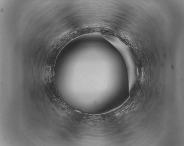 X0000089711062200706211337