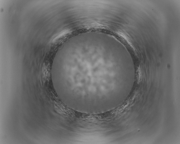 X0000089711063200706211337