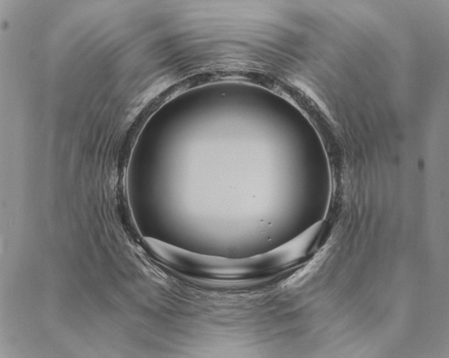 X0000089711065200706211337