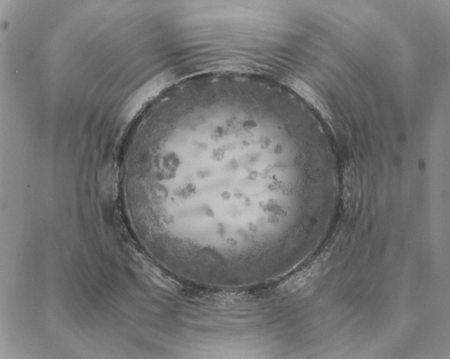 X0000089711067200706211337