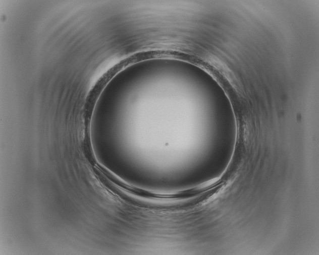 X0000089711069200706211337