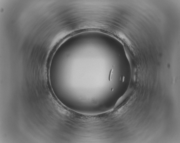 X0000089711072200706211337