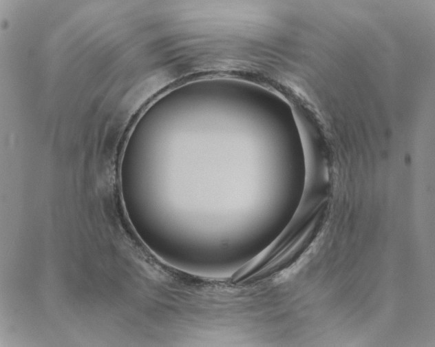 X0000089711073200706211337