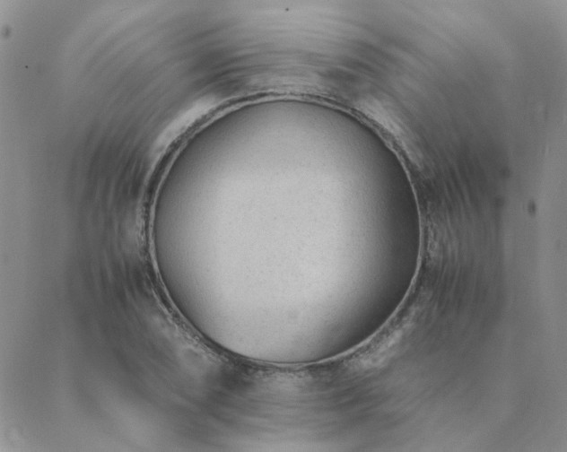 X0000089711074200706211337