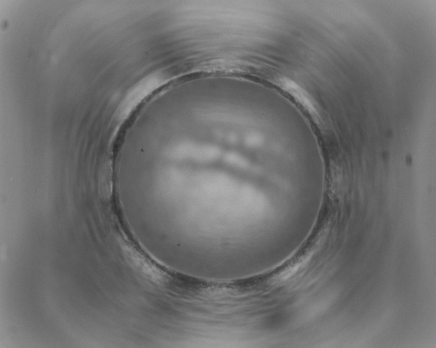 X0000089711075200706211337