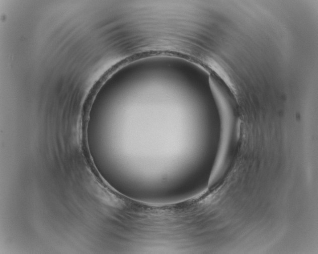 X0000089711076200706211337