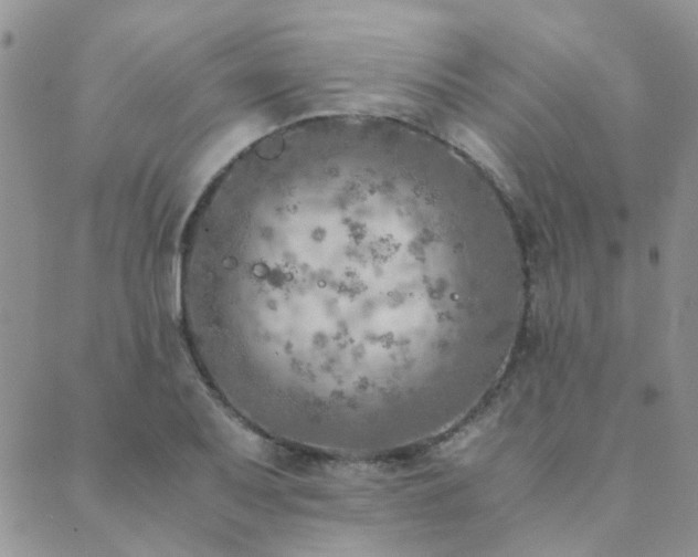 X0000089711079200706211337