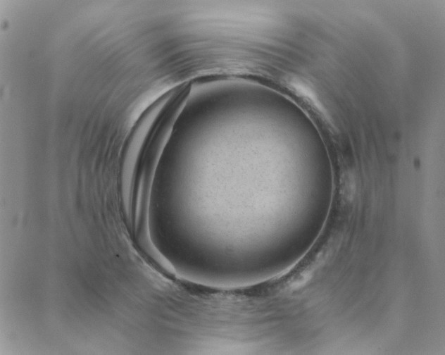 X0000089711081200706211337