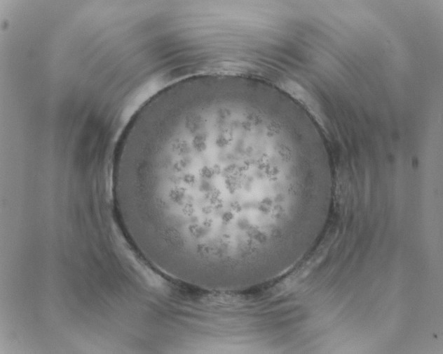 X0000089711083200706211337